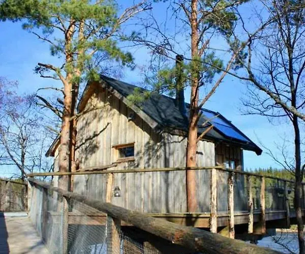 Tretopphytter Pa Grensen - Beverhytta Med Robat Og Gjeddefiske